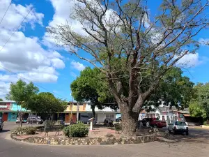 Plaza José Manuel Muñoz (Redoma El Juguito)