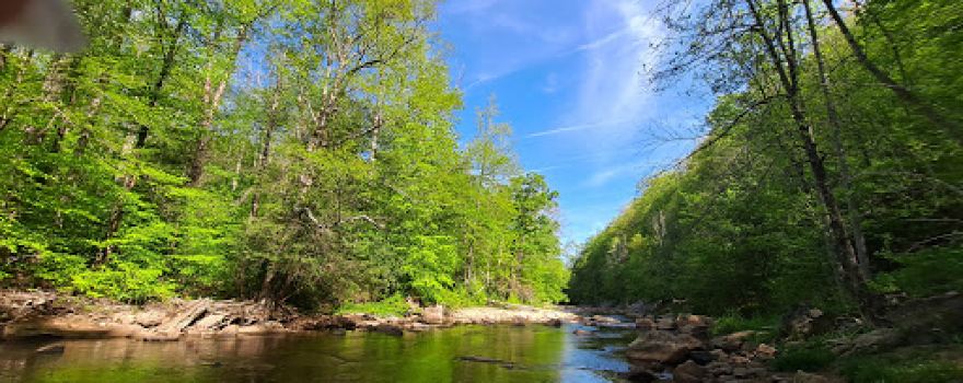 Cranberry Campground