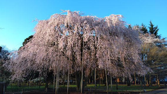 Mizuho Eco Park