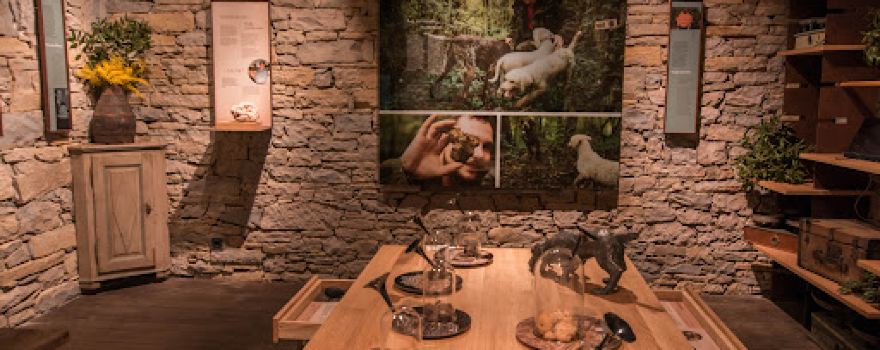 TRUFFLE MUSEUM by Karlic
