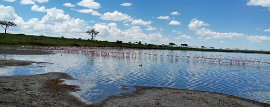 Lake Magadi