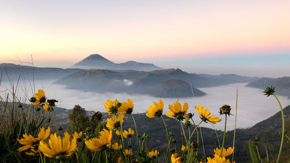 Sukapura