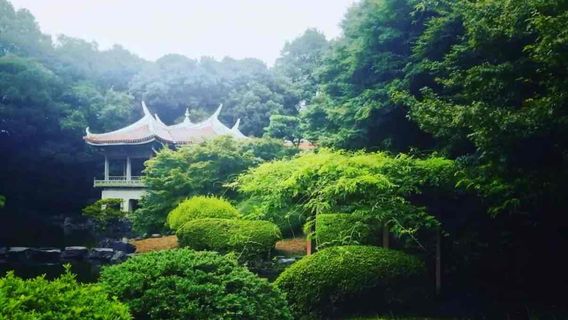 Shinjuku Gyoen National Garden