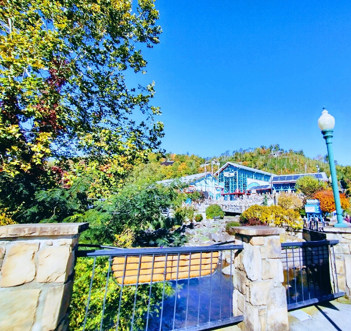 2026 Gatlinburg Travel Guide: must-see attractions, popular food, hotels, transport & travel experiences (updated in January)