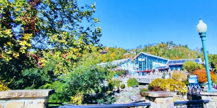 ガトリンバーグ観光ガイド2026年：人気スポット、グルメ、ホテル、天気