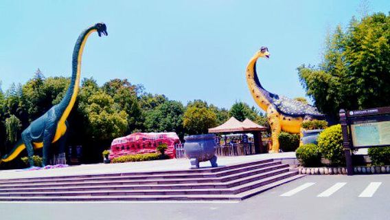 Dinosaur Egg Fossil Museum
