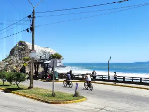 Beach Vega de los Patos