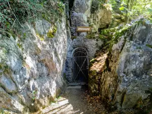 Bilsteintal: Tropfsteinhöhle und Wildpark in Warstein