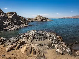 Shark Island Camp Site