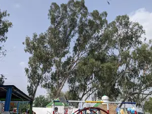 Family Spot Park