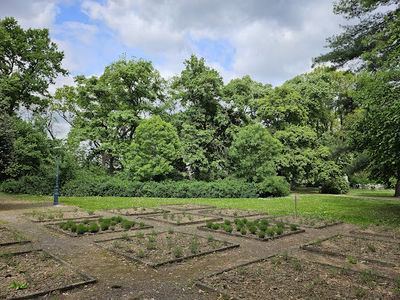 Dombóvári Szigeterdő