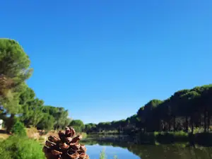 Puente Blanca - Cristo Rey