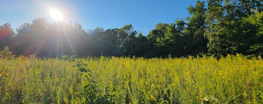 Stillwater Prairie Reserve