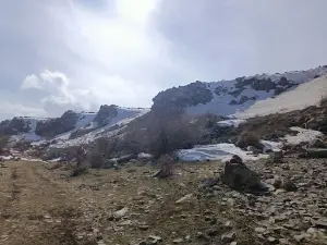 Kaya Resimleri