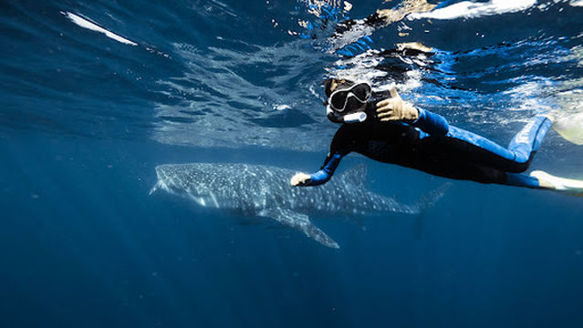 Aussie Marine Adventures