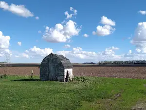 Pfanny's Farm