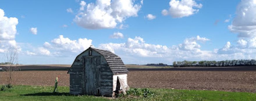Pfanny's Farm