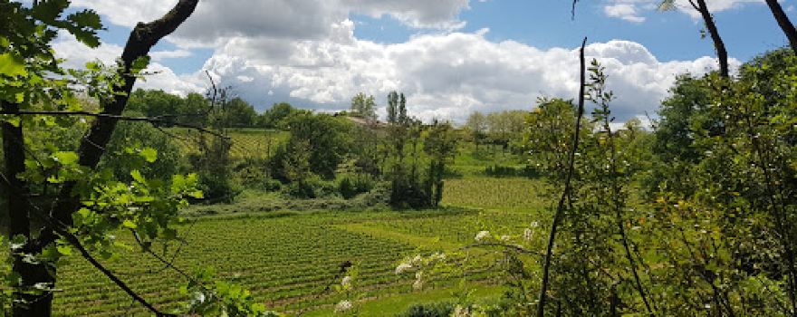 Sainte-Terre Camping Municipal Bord Dordogne