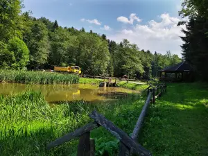 Ścieżka przyrodniczo-dydaktyczna "Tuchowski Las"
