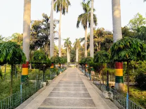 Company Garden