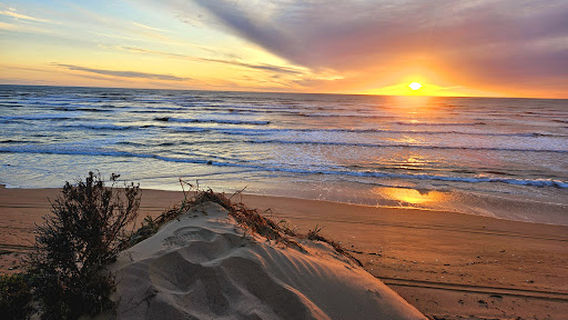 Coorong