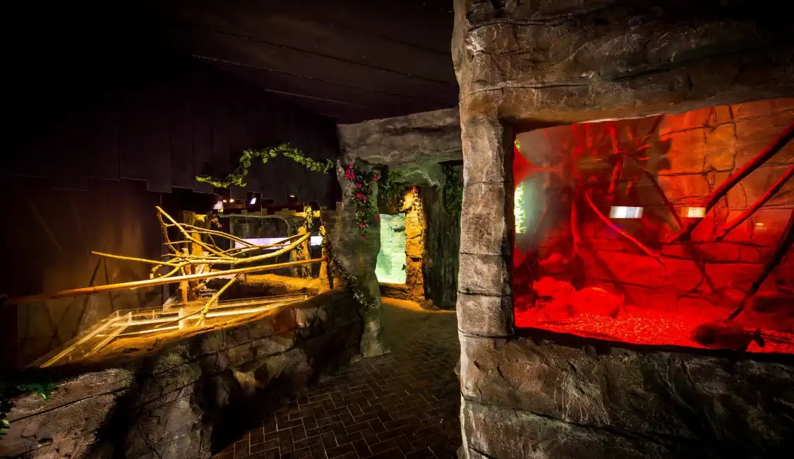 Hotels near St Andrews Aquarium