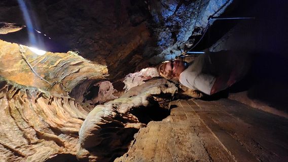 Linville Caverns, Inc