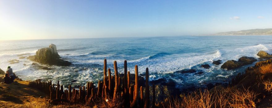 Punta De Lobos