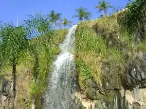 Dr. Luis Carlos Raya Park