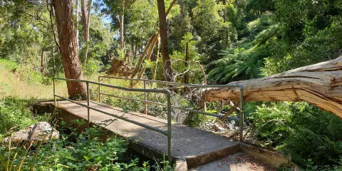 Sailors Falls & Mineral Springs