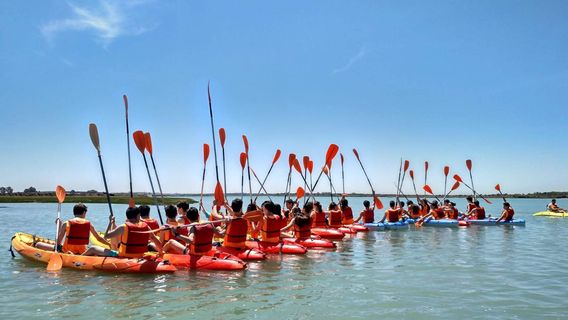 Parque Metropolitano Marisma de los Torunos and Pinar of the Algaida