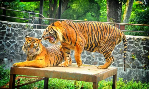 Bandung Zoo