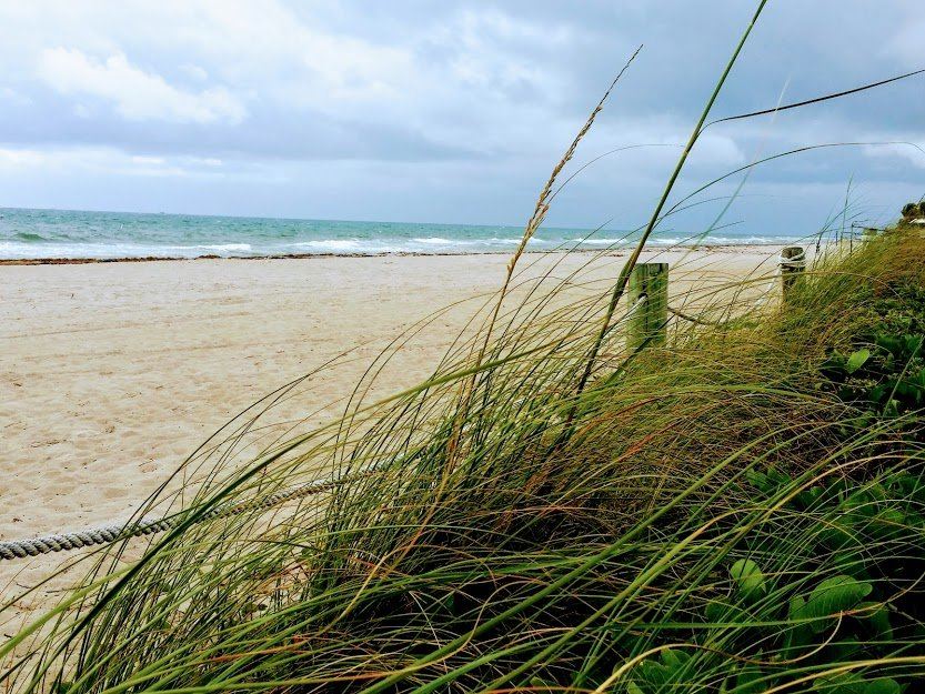 Hugh Taylor Birch State Park