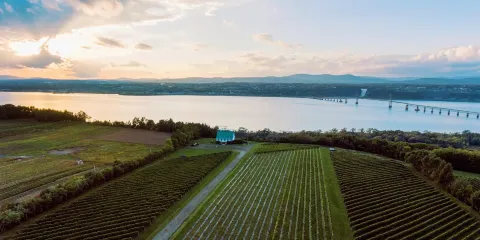 Vignoble Ste-Petronille