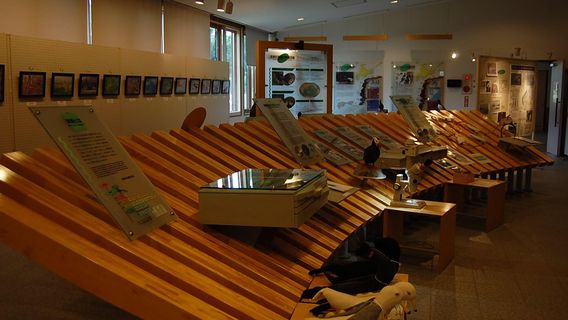 Hokkaido Seabird Center