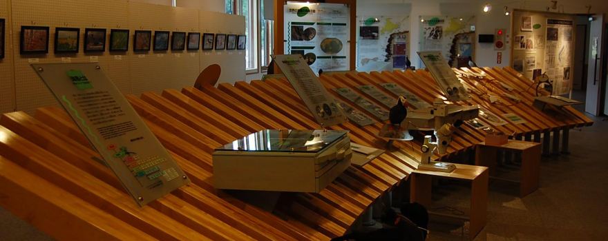Hokkaido Seabird Center