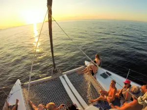 Lazy Lizard Sailing