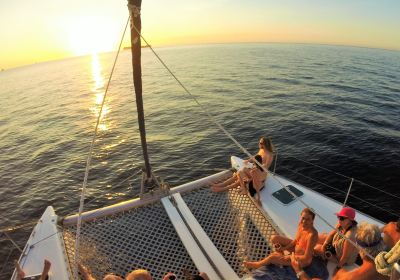 Lazy Lizard Sailing