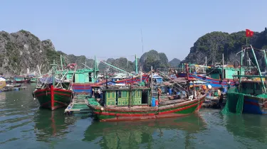 下龍市