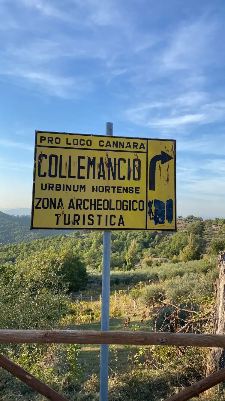 Cannara