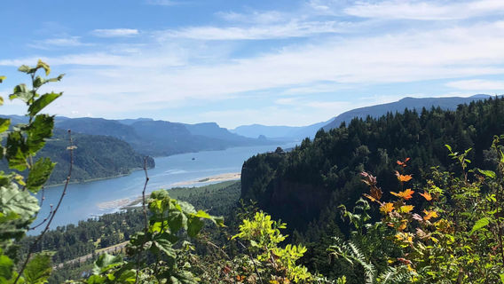 Portland Women's Forum State Scenic Viewpoint