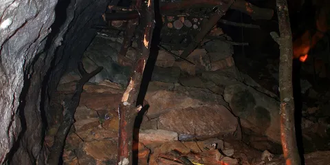 Fidov gaj (Fida's grove)