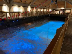Caerleon Roman Fortress Baths