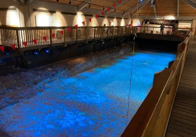 Caerleon Roman Fortress Baths