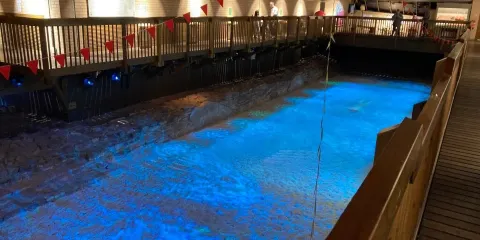 卡利恩古羅馬要塞