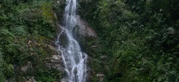 Hotels in Pelling
