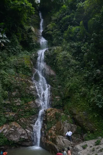 Pelling