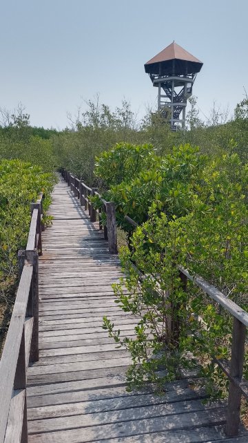 Sirindhorn International Environmental Park