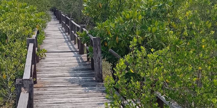 Sirindhorn International Environmental Park