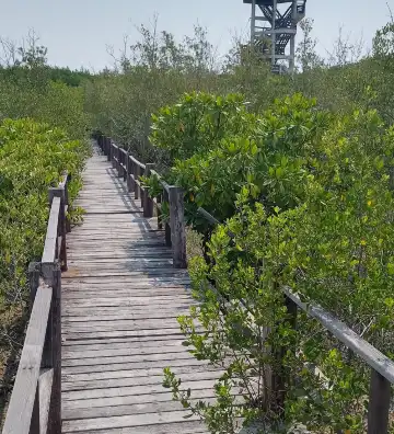 Hotels near Sirindhorn International Environmental Park